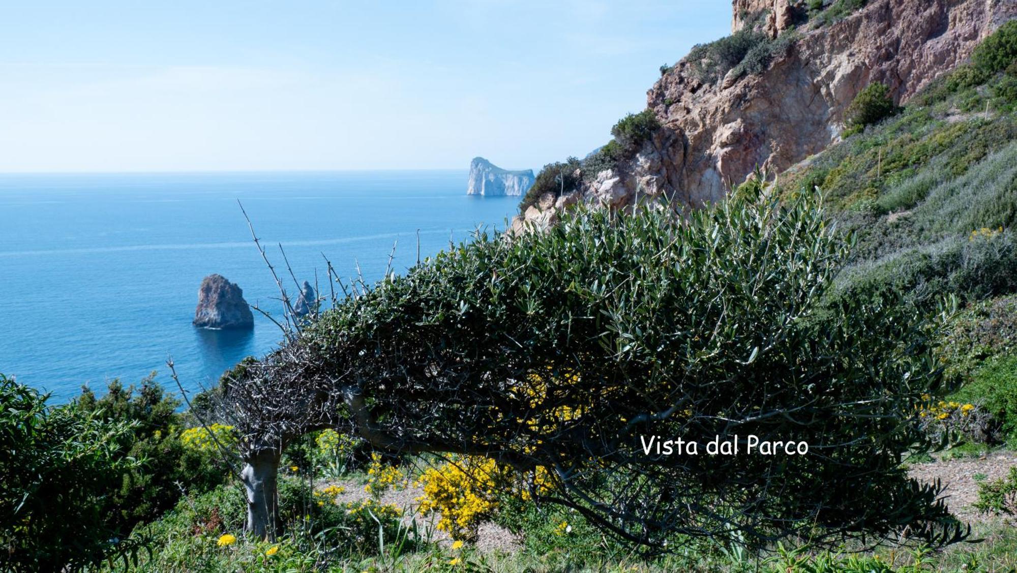 Il Sole Ed Il Mare Tanca Piras Villa Nebida Exterior photo